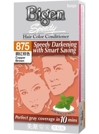 BIGEN SPEEDY HAIR COLOUR 875